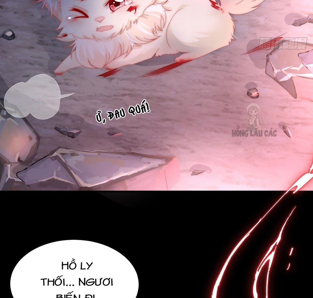 Thê Chủ, Thỉnh Hưởng Dụng Chapter 1 - Trang 2