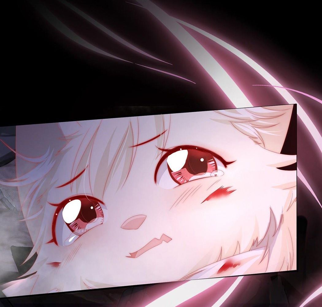 Thê Chủ, Thỉnh Hưởng Dụng Chapter 1 - Trang 2