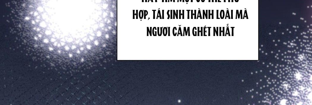 Thê Chủ, Thỉnh Hưởng Dụng Chapter 1 - Trang 2