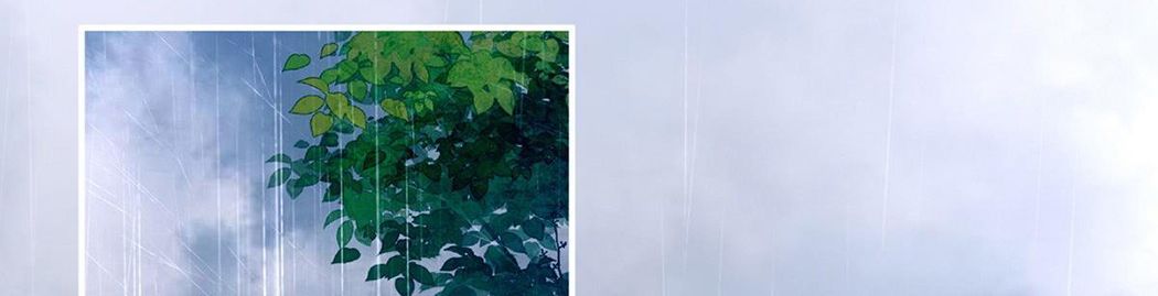 Thê Chủ, Thỉnh Hưởng Dụng Chapter 1 - Trang 2