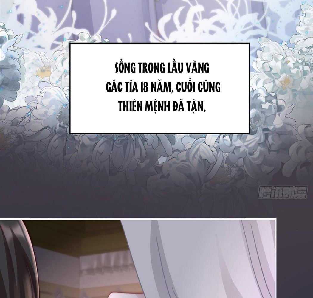 Thê Chủ, Thỉnh Hưởng Dụng Chapter 1 - Trang 2