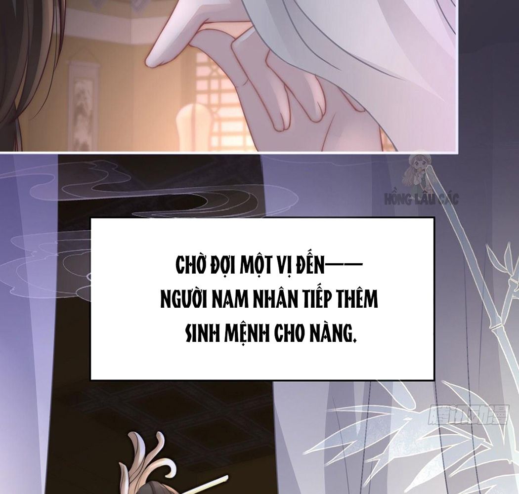 Thê Chủ, Thỉnh Hưởng Dụng Chapter 1 - Trang 2