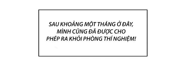 The Dungeon Master Chapter 5 - Trang 2