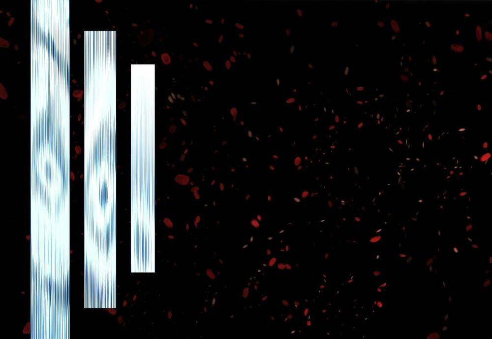 Thế Giới Ảo Nguyệt Chapter 18 - Trang 2