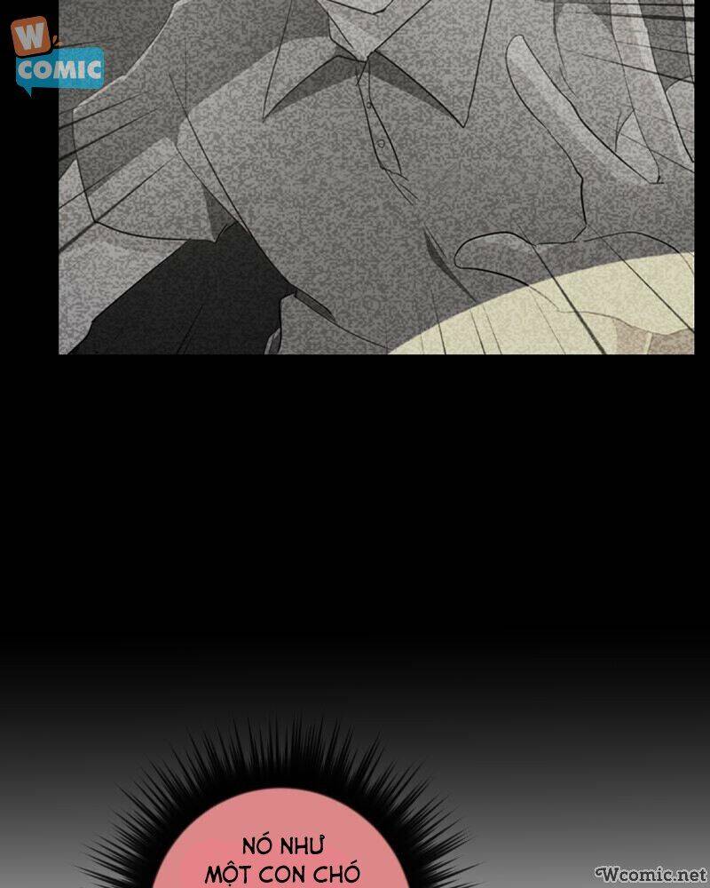 Thế Giới Không Hoàn Hảo Chapter 211 - Trang 2