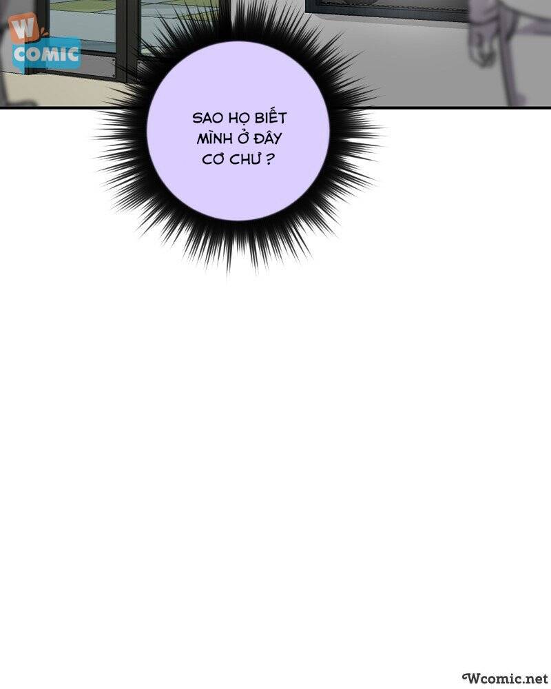 Thế Giới Không Hoàn Hảo Chapter 214 - Trang 2