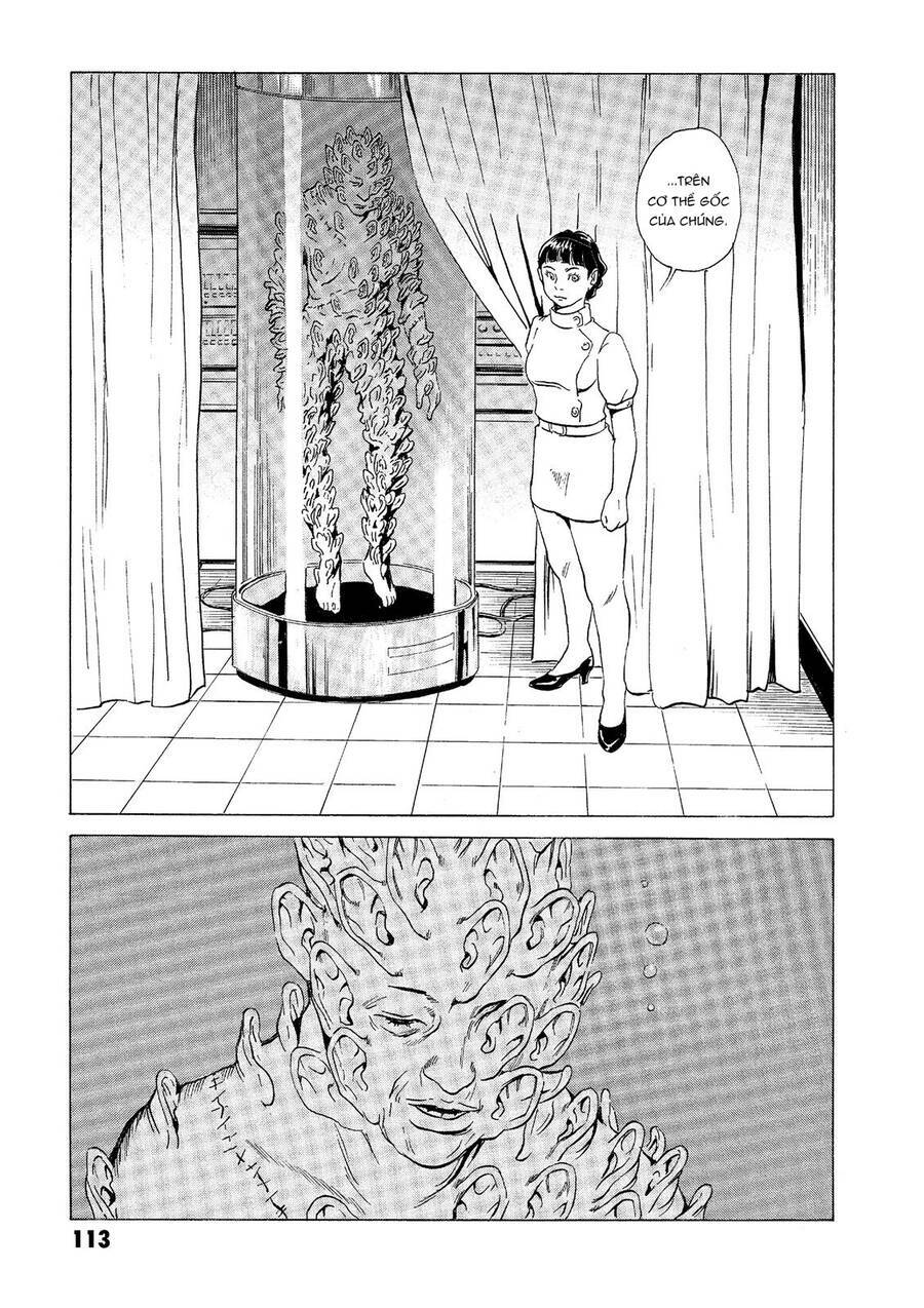 The Kurosagi Corpse Delivery Service Chapter 32 - Trang 2