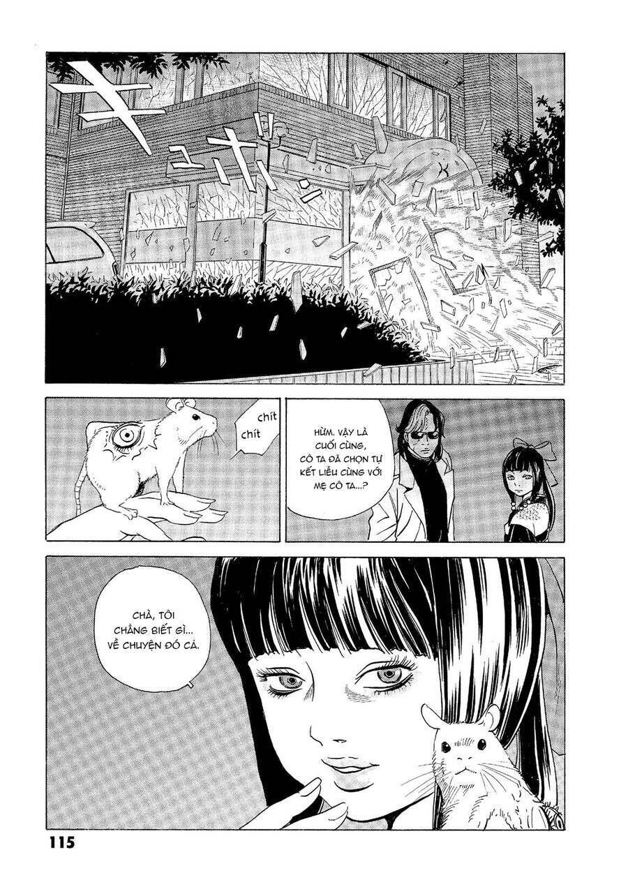 The Kurosagi Corpse Delivery Service Chapter 32 - Trang 2