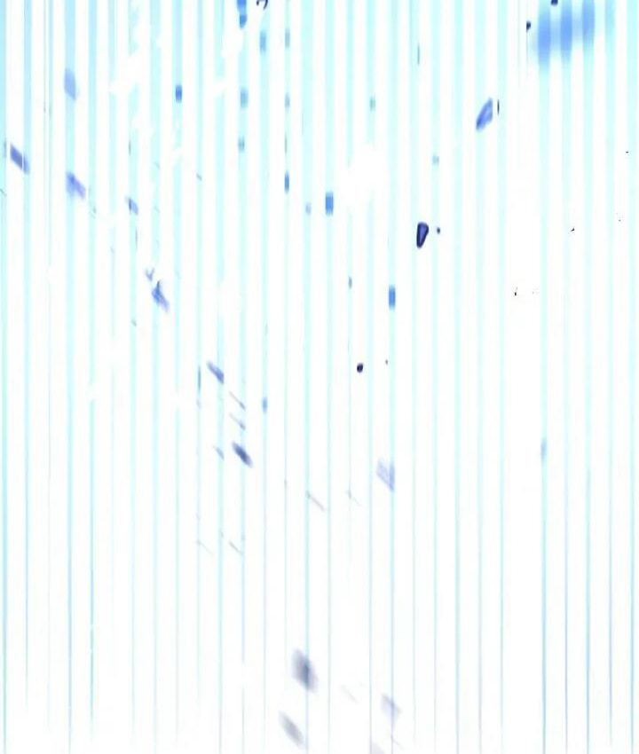 The Live Chapter 2 - Trang 2