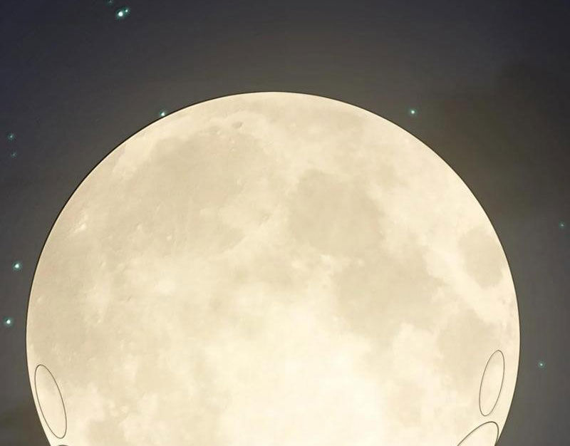 Thế Nhân Thực Sự Tin Tôi Là Đại Boss Chapter 94 - Trang 2