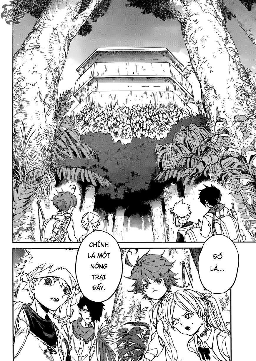 The Promised Neverland Chapter 116 - Trang 2