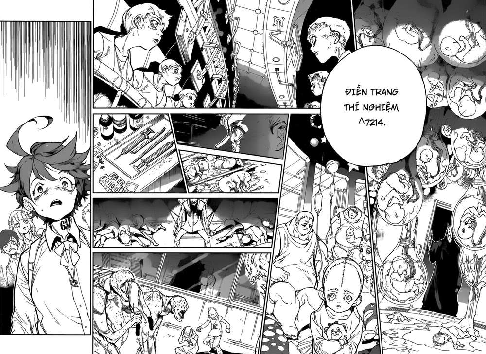 The Promised Neverland Chapter 120 - Trang 2