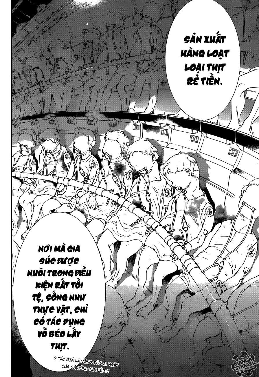 The Promised Neverland Chapter 50 - Trang 2