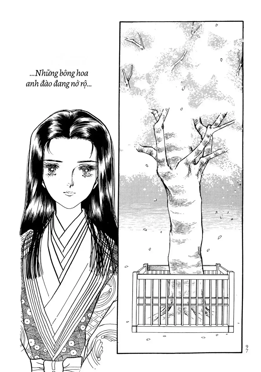The Tale Of Genji: Dreams At Dawn Chapter 8 - Trang 2