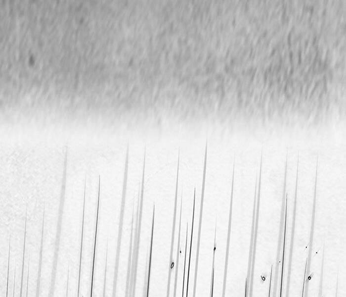 Thể Thao Cực Hạn Chapter 145 - Trang 2