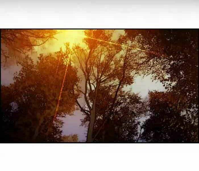 Thể Thao Cực Hạn Chapter 176 - Trang 2