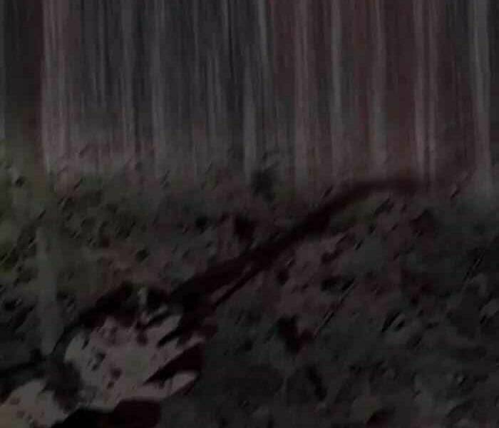 Thể Thao Cực Hạn Chapter 177 - Trang 2