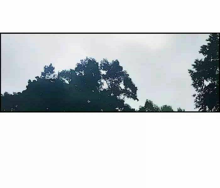 Thể Thao Cực Hạn Chapter 178 - Trang 2