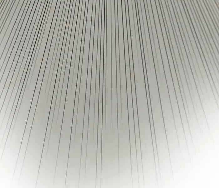 Thể Thao Cực Hạn Chapter 212 - Trang 2