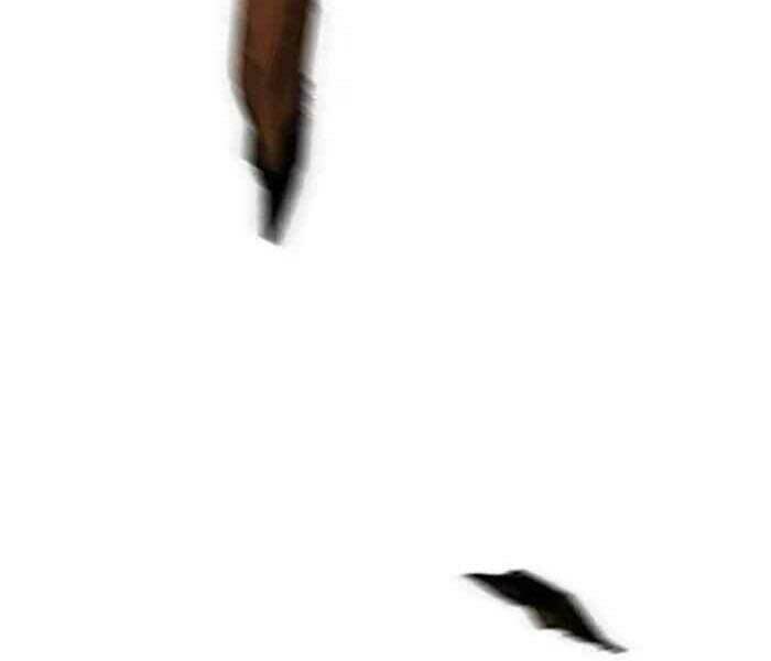 Thể Thao Cực Hạn Chapter 234 - Trang 2