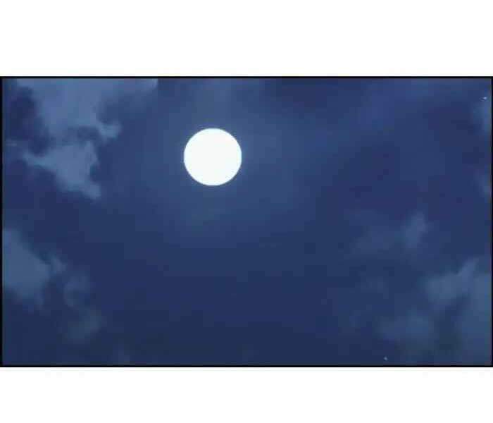 Thể Thao Cực Hạn Chapter 235 - Trang 2