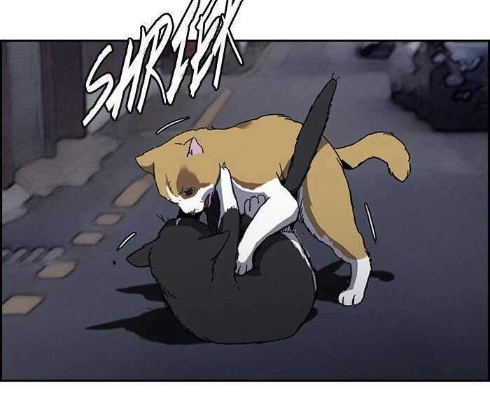 Thể Thao Cực Hạn Chapter 239 - Trang 2