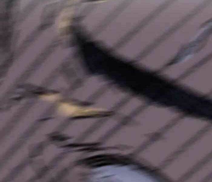 Thể Thao Cực Hạn Chapter 244 - Trang 2