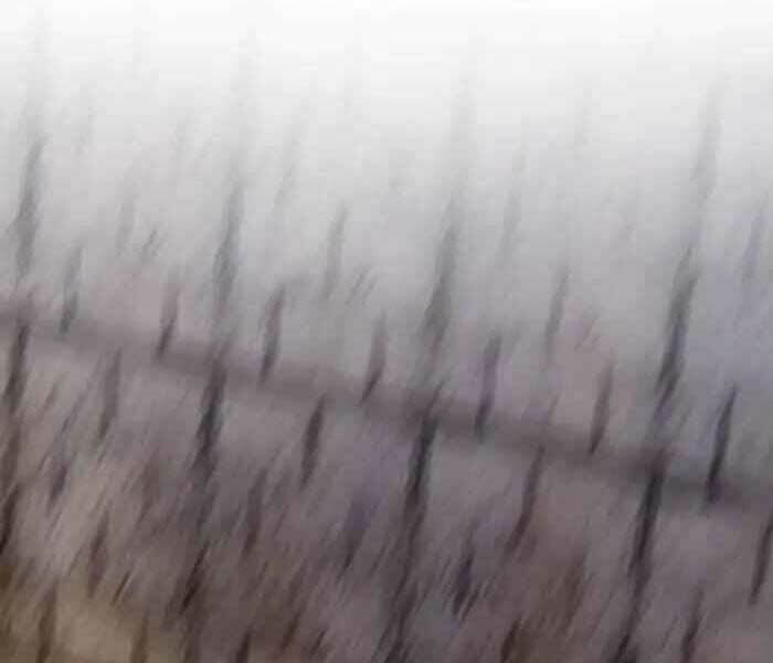 Thể Thao Cực Hạn Chapter 244 - Trang 2