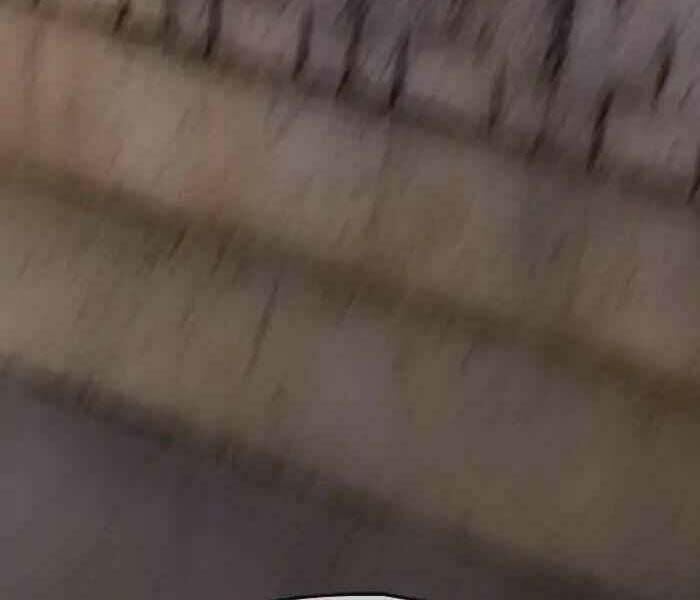 Thể Thao Cực Hạn Chapter 244 - Trang 2