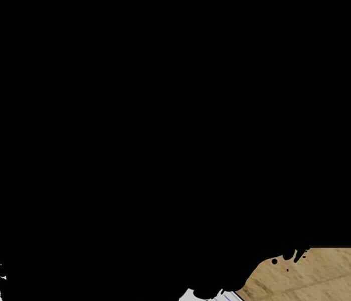 Thể Thao Cực Hạn Chapter 301 - Trang 2