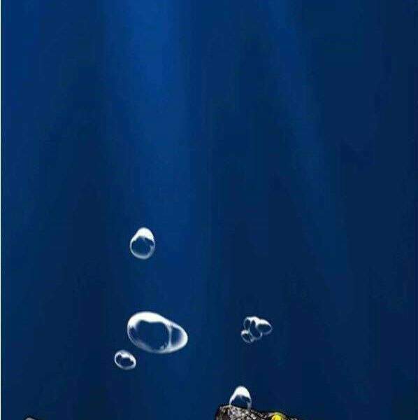 Thể Thao Cực Hạn Chapter 341 - Trang 2