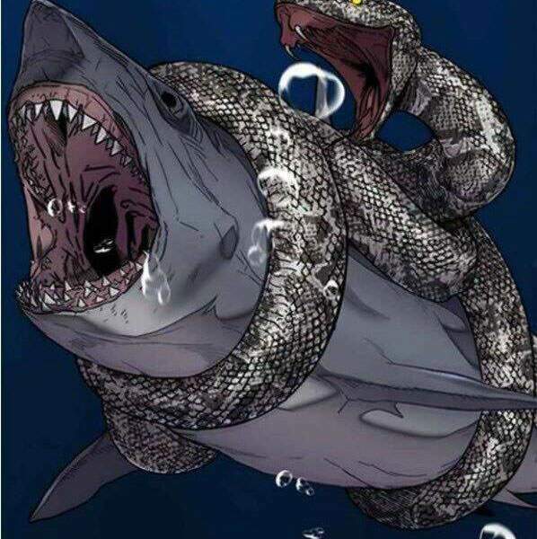 Thể Thao Cực Hạn Chapter 341 - Trang 2