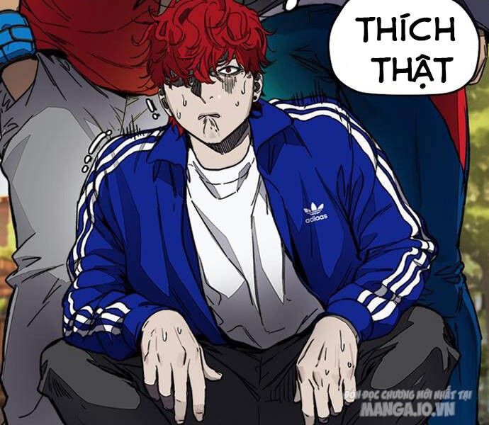 Thể Thao Cực Hạn Chapter 380 - Trang 2