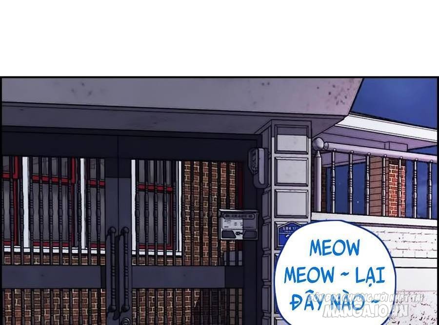 Thể Thao Cực Hạn Chapter 382 - Trang 2