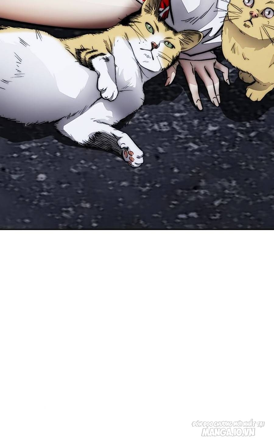 Thể Thao Cực Hạn Chapter 382 - Trang 2