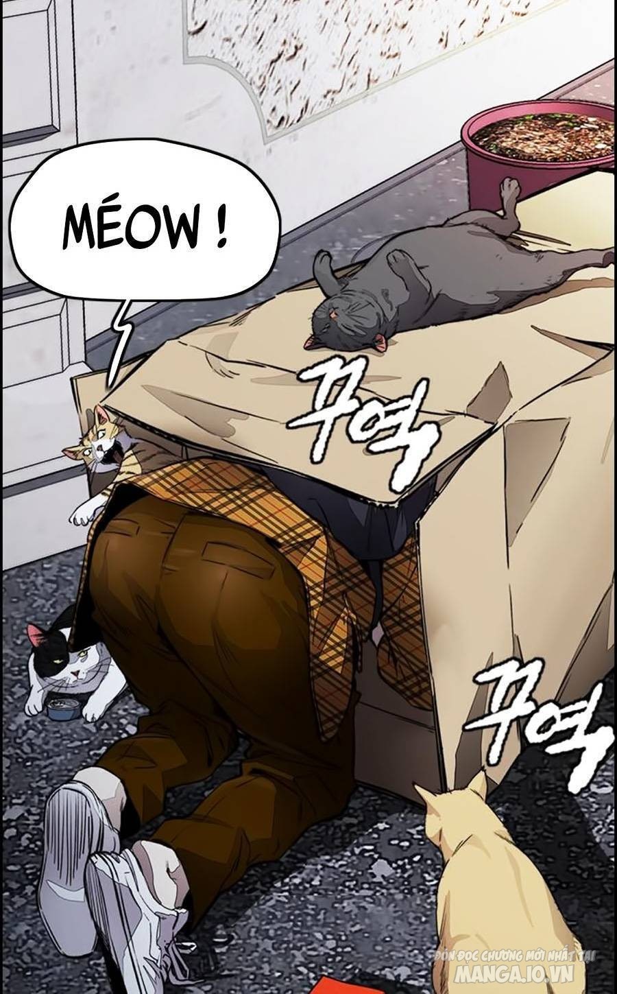 Thể Thao Cực Hạn Chapter 382 - Trang 2