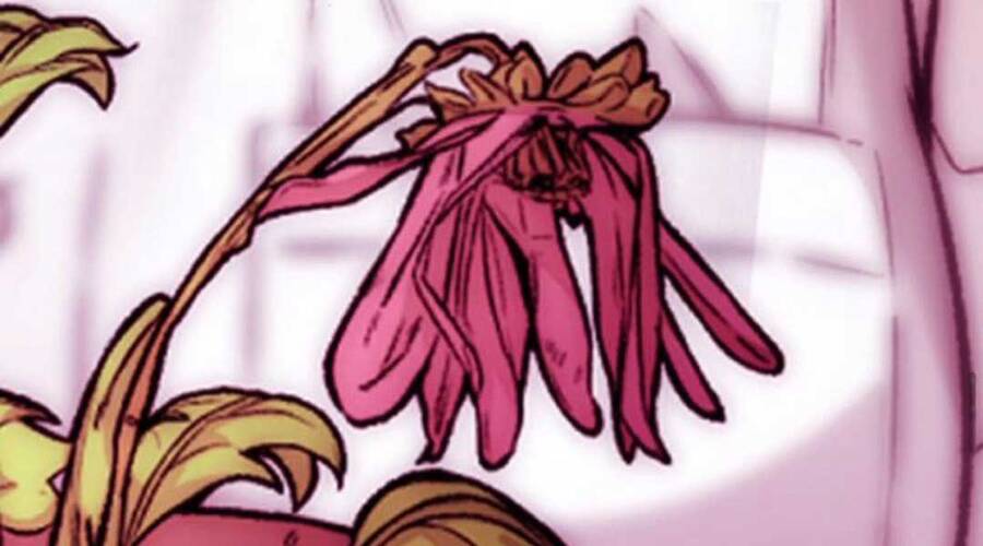 Thể Thao Cực Hạn Chapter 393.5 - Trang 2