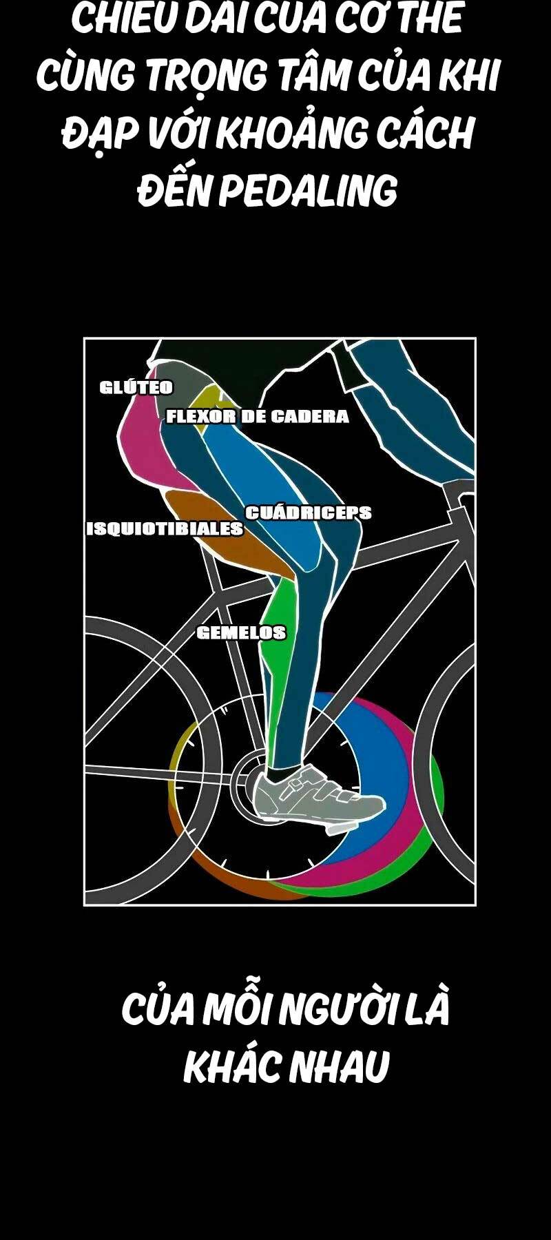 Thể Thao Cực Hạn Chapter 464 - Trang 2