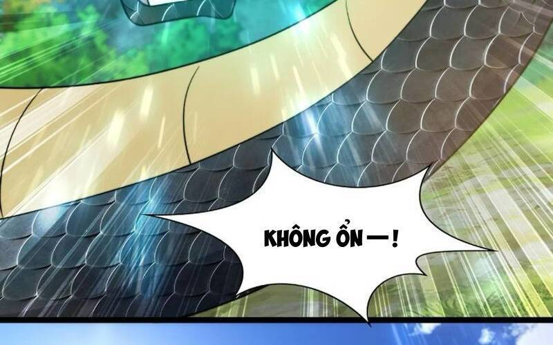 Thê Tử Của Ta Là Đại Thừa Kỳ Đại Lão Chapter 13 - Trang 2