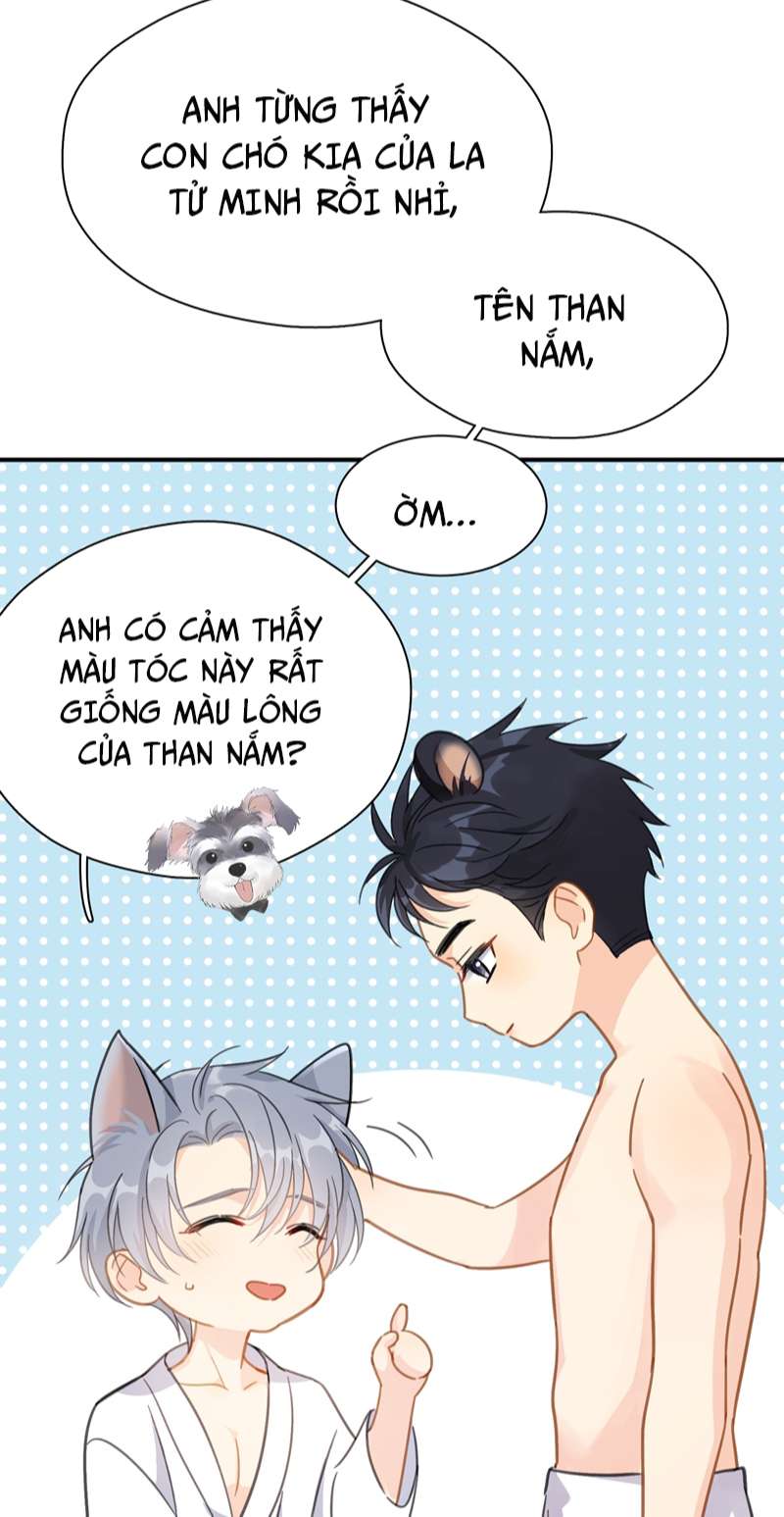 Theo Đuôi Chapter 72 - Trang 2