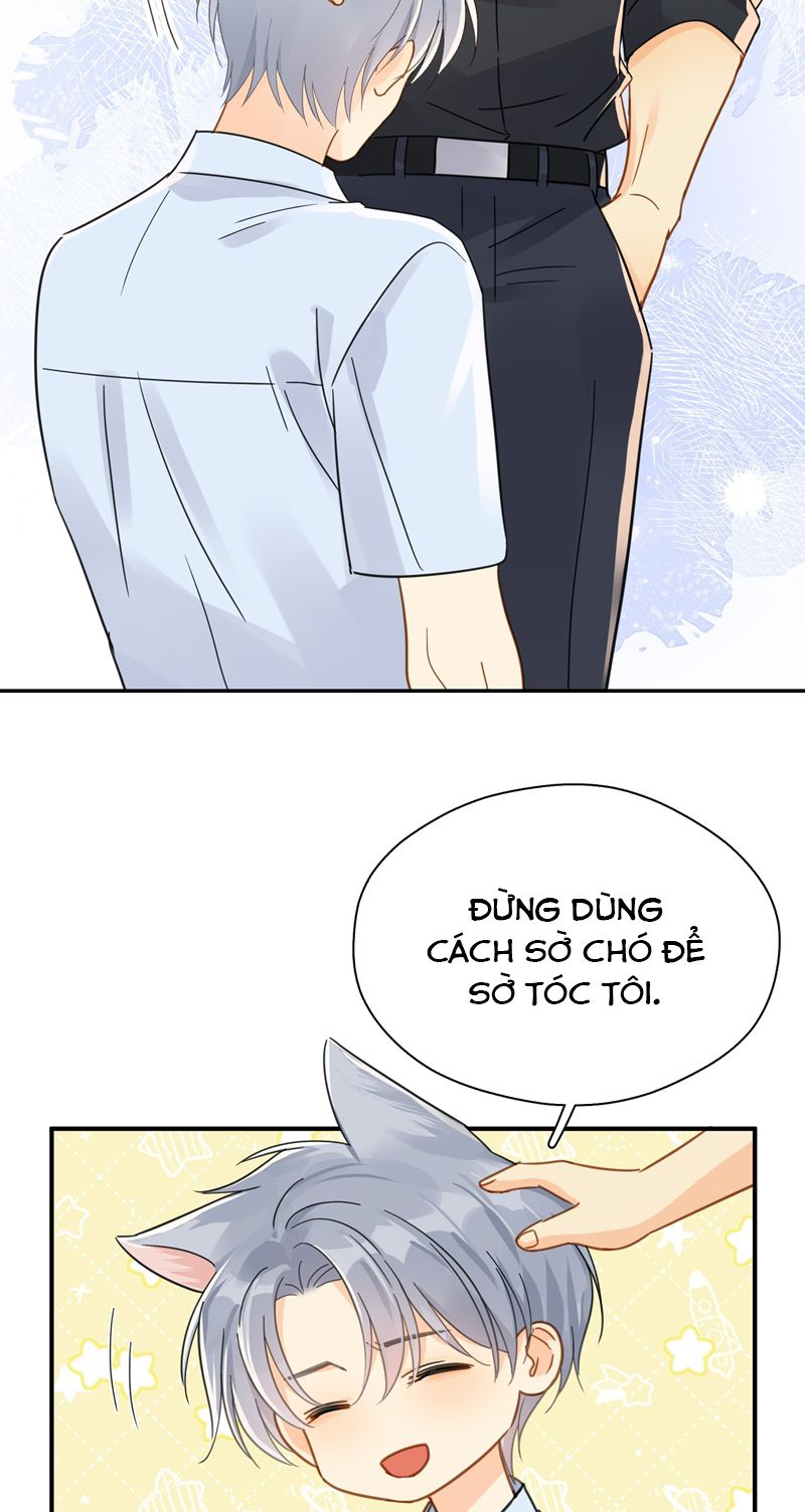 Theo Đuôi Chapter 82 - Trang 2