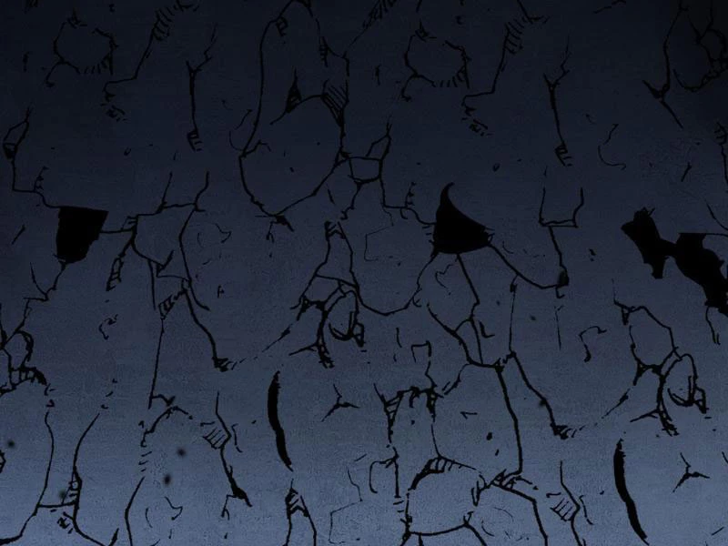 Thích Khách Thần Cấp, Ta Chính Là Bóng Đêm Chapter 11 - Trang 2