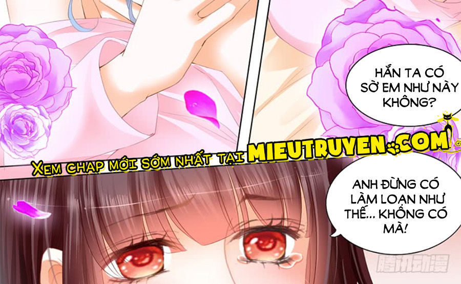 Thiểm Hôn Kiều Thê Chapter 213 - Trang 2