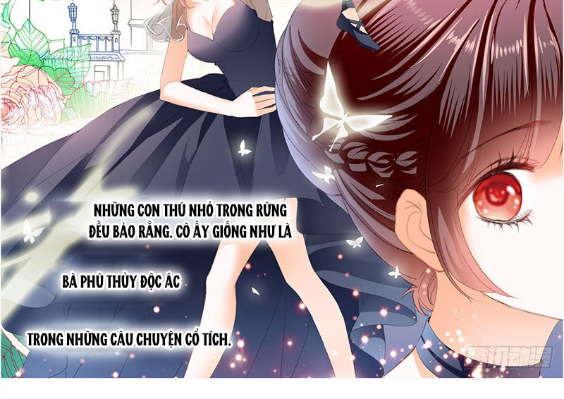 Thiểm Hôn Kiều Thê Chapter 237 - Trang 2