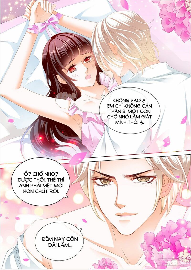 Thiểm Hôn Kiều Thê Chapter 242 - Trang 2