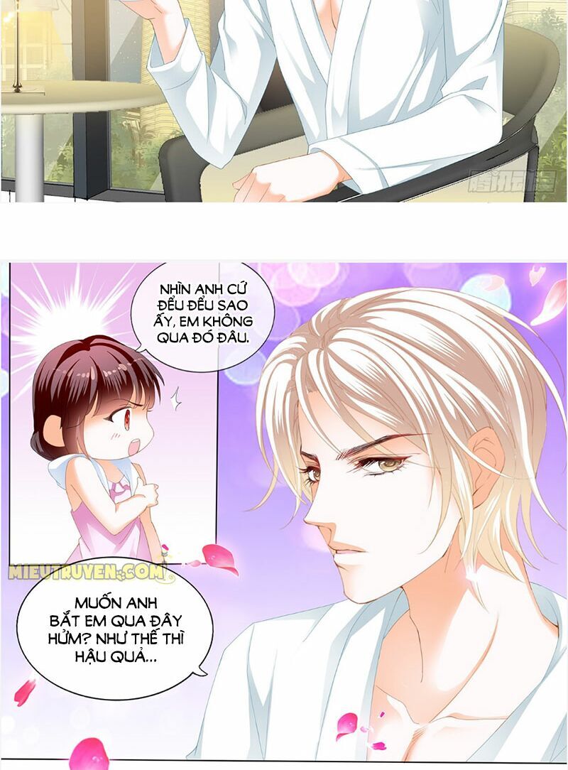 Thiểm Hôn Kiều Thê Chapter 242 - Trang 2