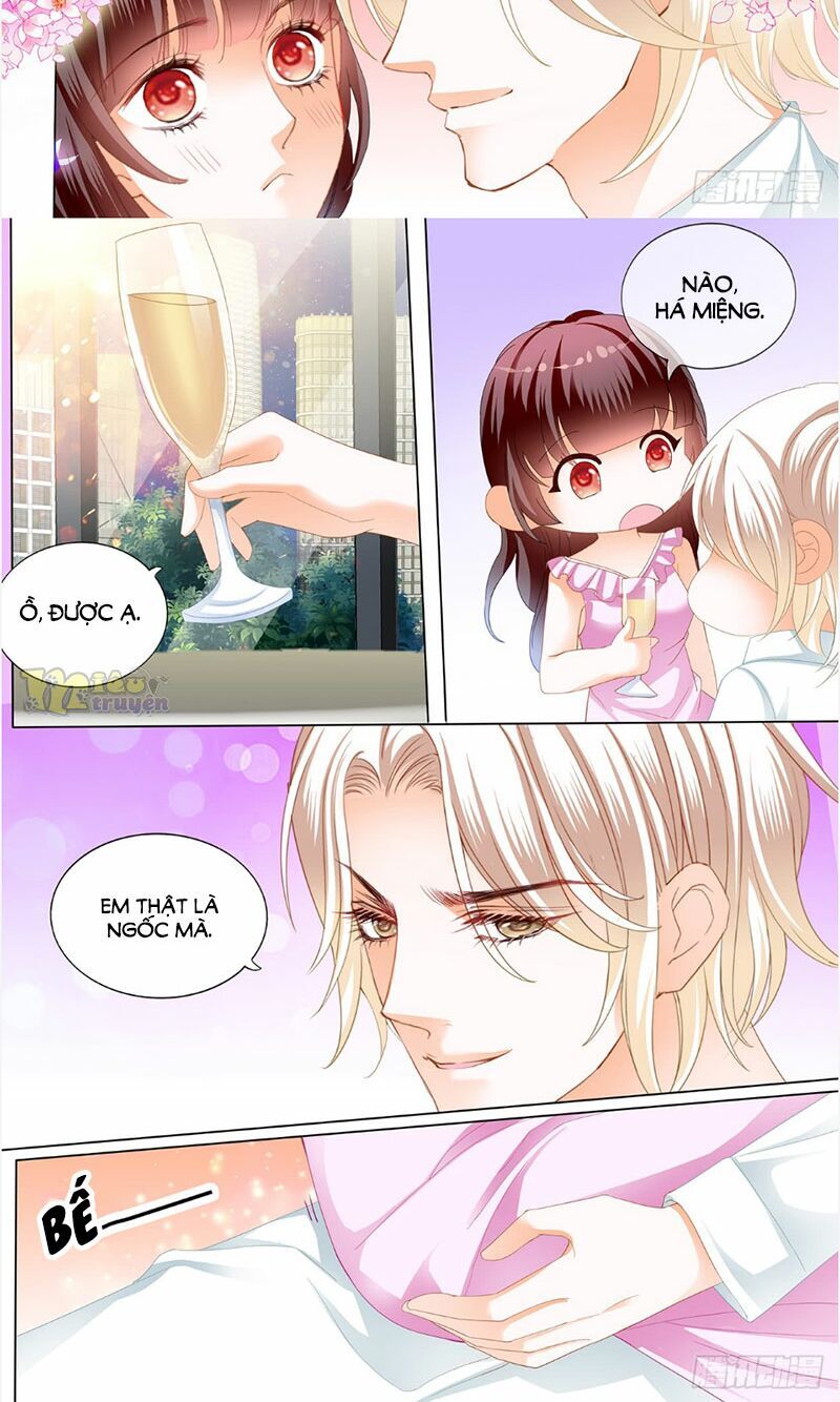 Thiểm Hôn Kiều Thê Chapter 242 - Trang 2
