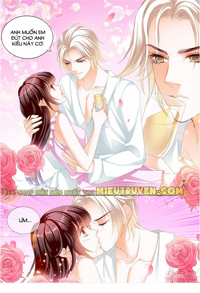 Thiểm Hôn Kiều Thê Chapter 242 - Trang 2