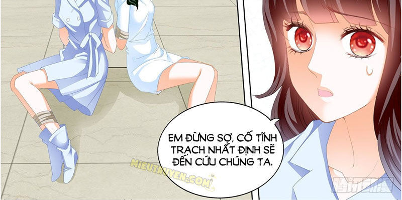 Thiểm Hôn Kiều Thê Chapter 246 - Trang 2