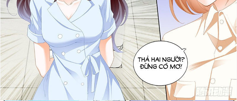Thiểm Hôn Kiều Thê Chapter 246 - Trang 2